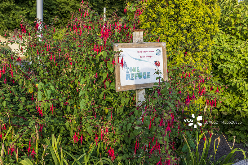 夏季法国加来海峡的昆虫保护区标志图片素材