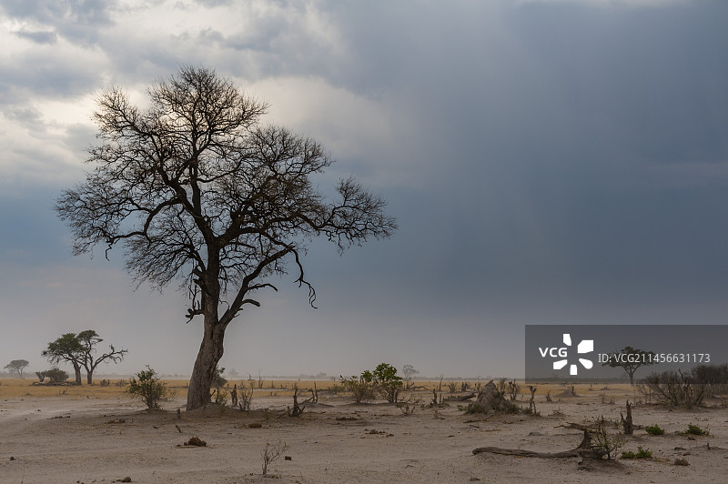 逼近的沙尘暴图片素材