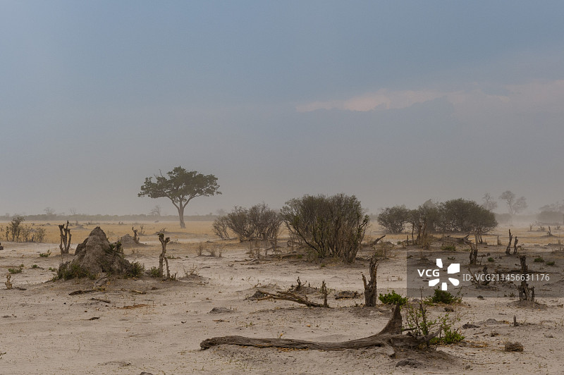 逼近的沙尘暴图片素材
