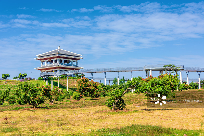 中国广东茂名高州大唐荔乡文化旅游区荔枝博览馆图片素材