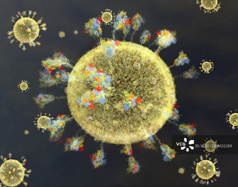 Covid-19冠状病毒颗粒，插图图片素材