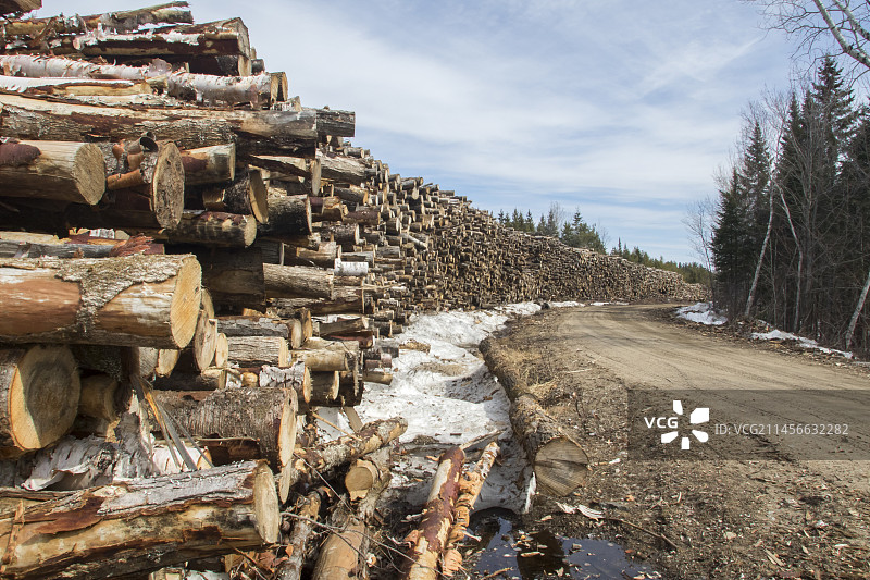 森林道路旁的木材堆，加拿大魁北克圣马修迪帕克图片素材