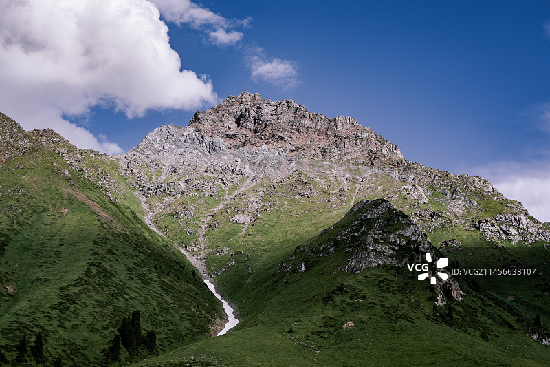 新疆伊犁唐布拉百里画廊孟克特古道夏季的森林草原风光图片素材