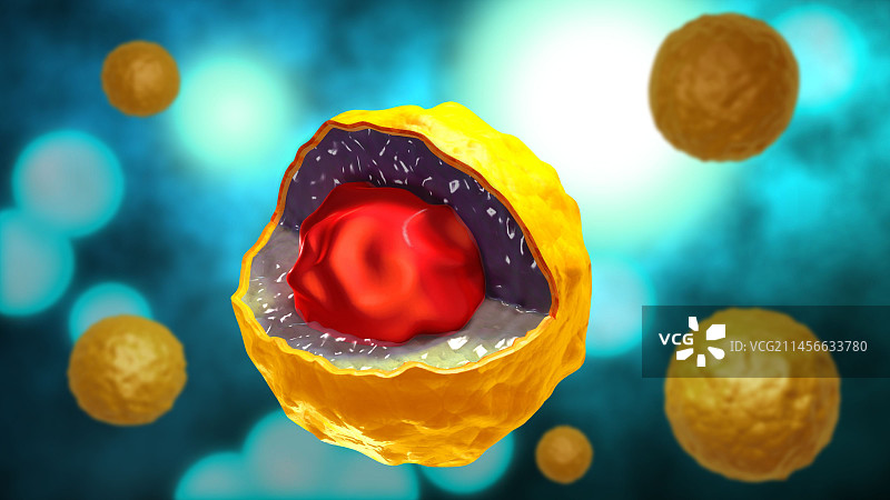 沙眼衣原体细菌，图示图片素材