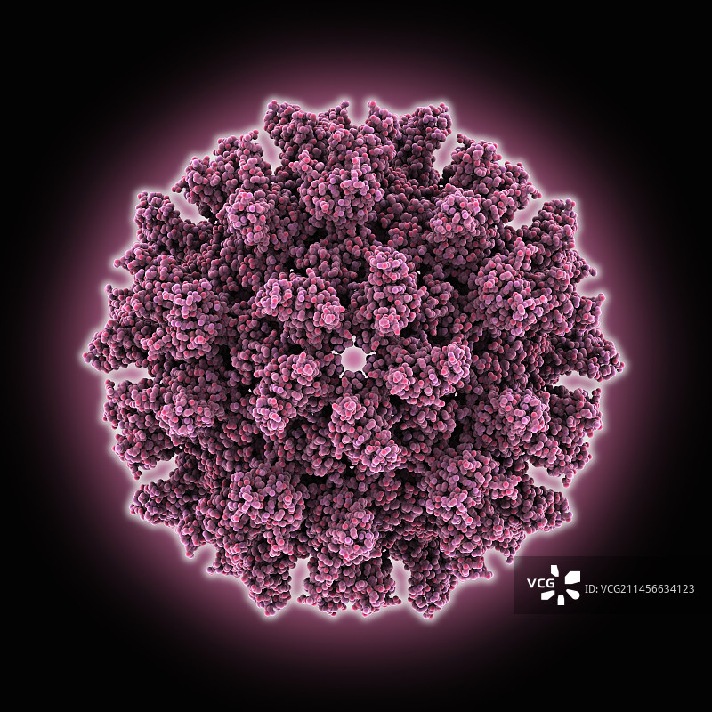 劳斯肉瘤病毒衣壳分子模型图片素材