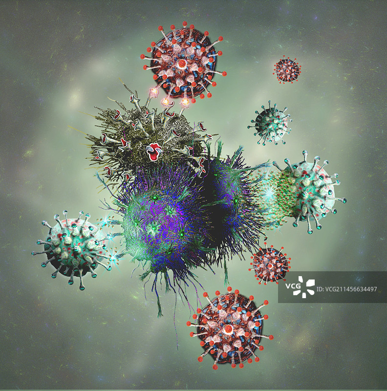 T细胞与癌细胞结合插画图片素材