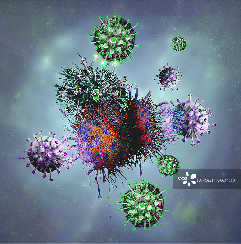T细胞与癌细胞结合插画图片素材