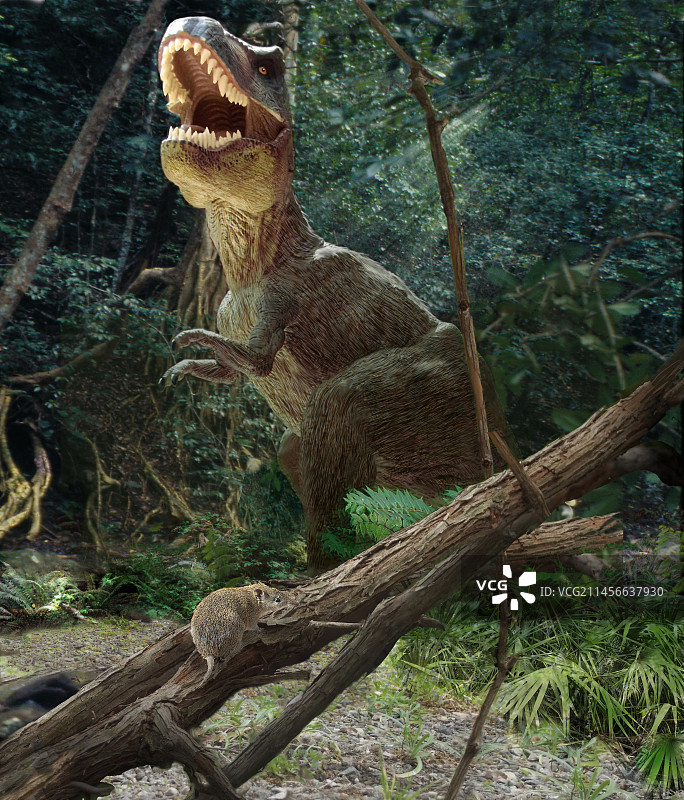 恐龙与早期哺乳动物插画图片素材