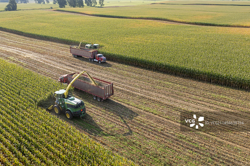 玉米丰收图片素材