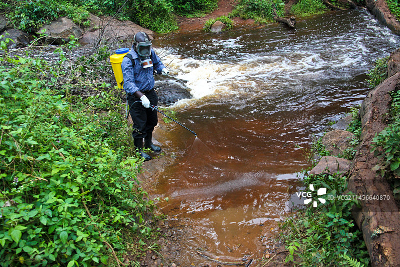 控制黑蝇图片素材