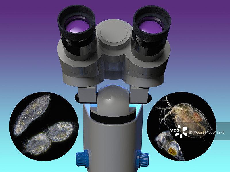 池塘生物合成图图片素材