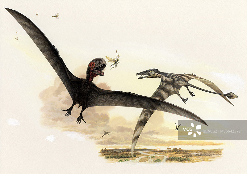 飞翔的翼龙爬行动物插画图片素材