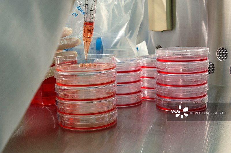 干细胞技术图片素材