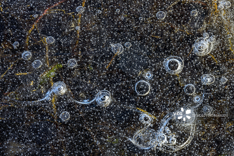 布热池塘冰中捕获的甲烷气泡，由生活在无氧淤泥中的细菌产生的甲烷，法国，安省，布热图片素材