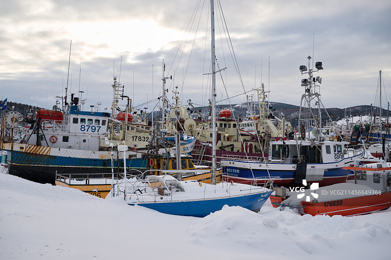 加拿大魁北克格里芬湾港冬季船只图片素材