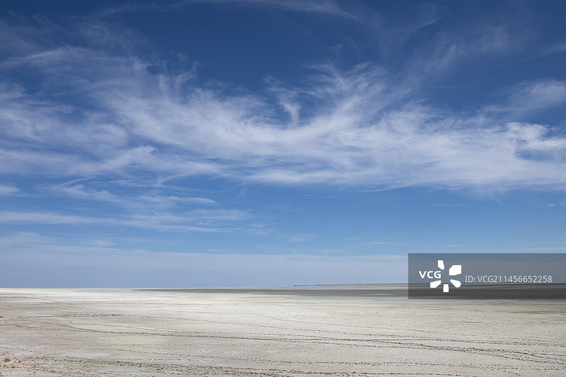 埃托沙国家公园内的埃托沙盐沼图片素材