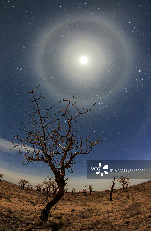 月晕和冬季星座图片素材