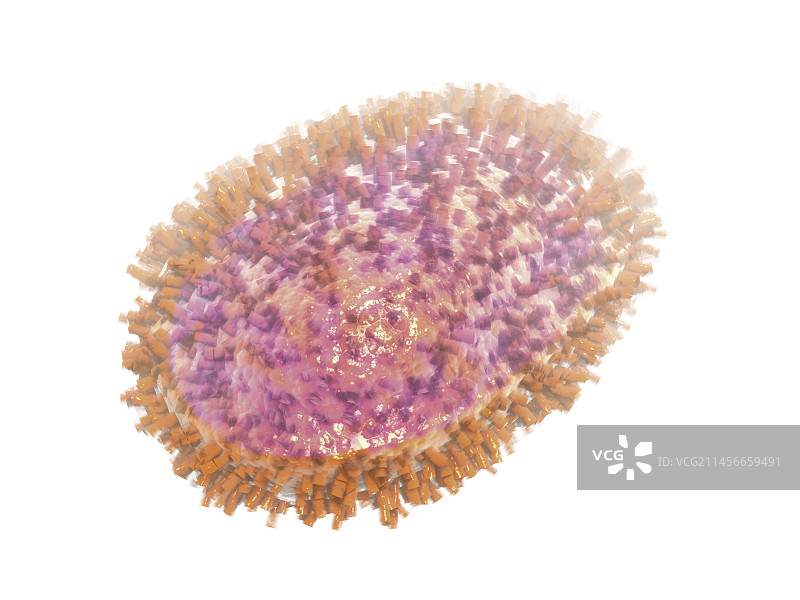 猪流感病毒示意图图片素材