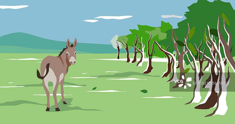 长满树木的草原上的驴图片素材