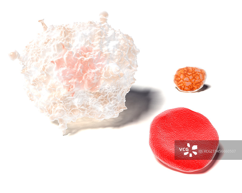 血细胞插图图片素材