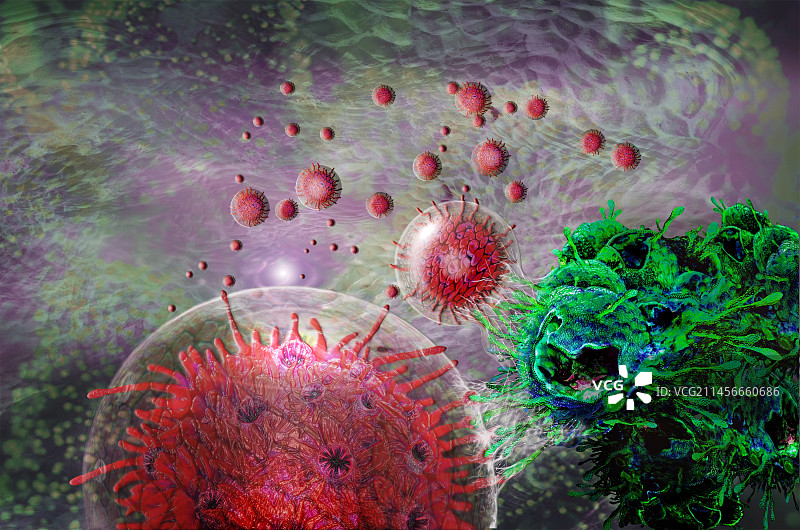 T细胞攻击癌细胞插图图片素材