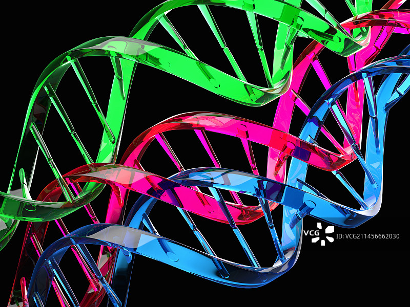 DNA（脱氧核糖核酸）分子，图示图片素材
