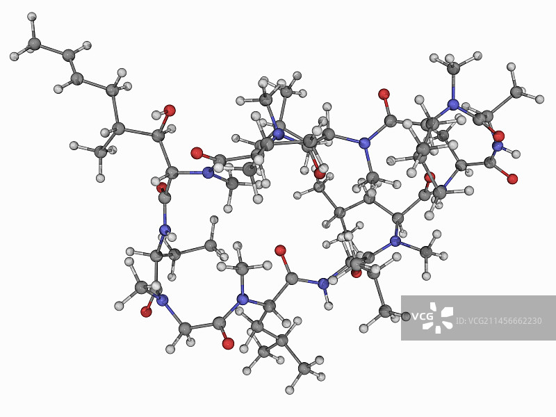 环孢素分子模型图片素材