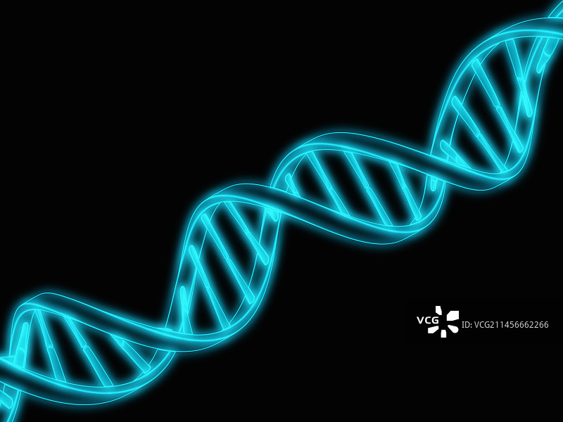 DNA分子，图解图片素材