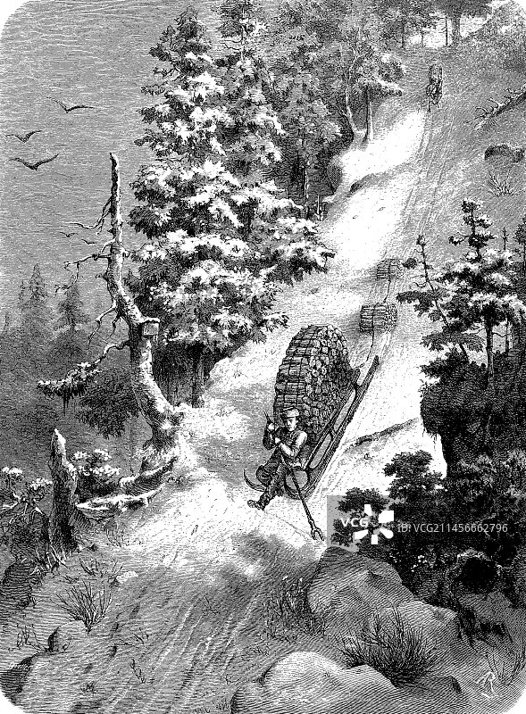 19世纪插画：男子用雪橇运木头图片素材