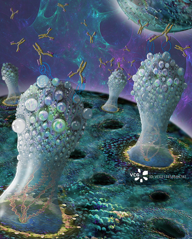 对抗感染的抗体，图示图片素材