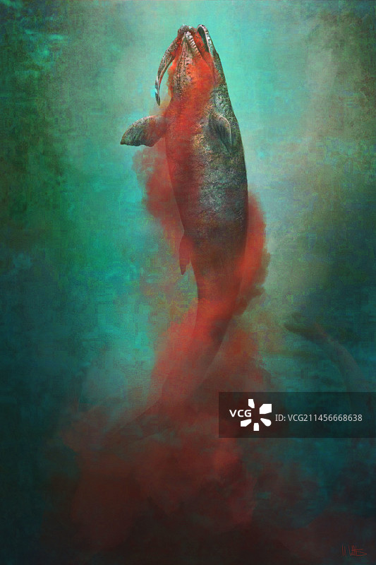 沧龙捕鱼插画图片素材