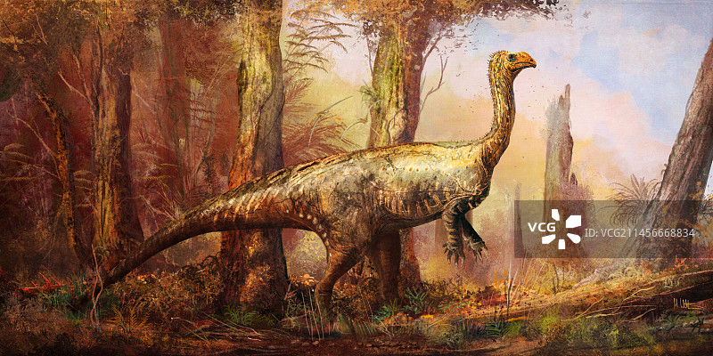 板龙恐龙插画图片素材