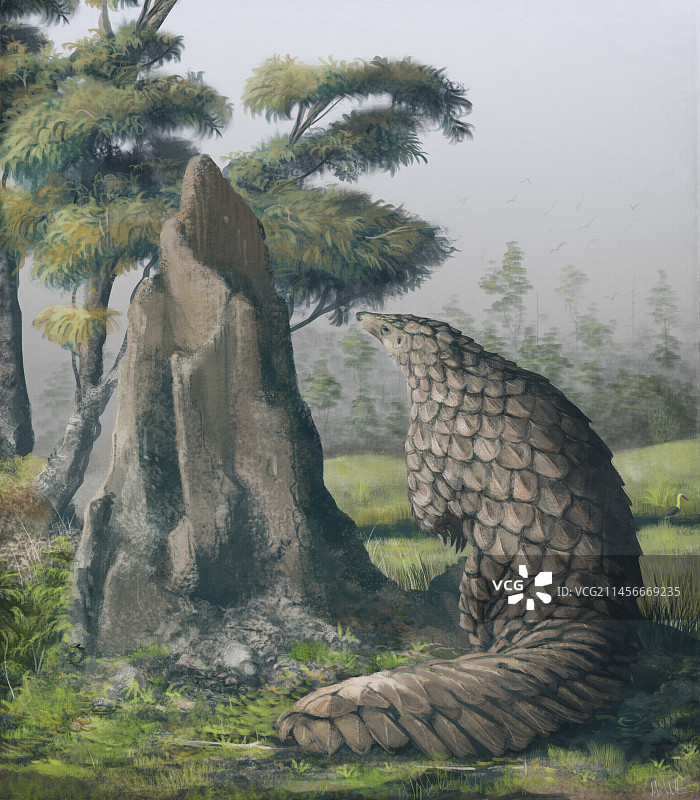 巨型亚洲穿山甲插画图片素材