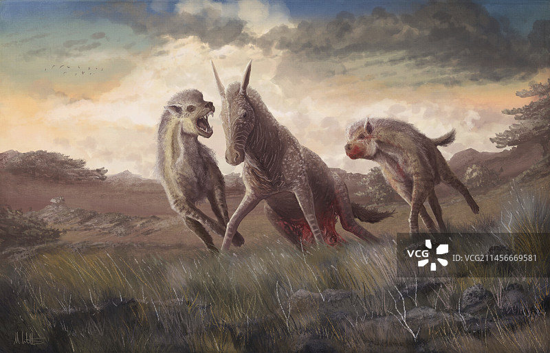 已灭绝的似鬣狗的Dinocrocuta捕猎插图图片素材