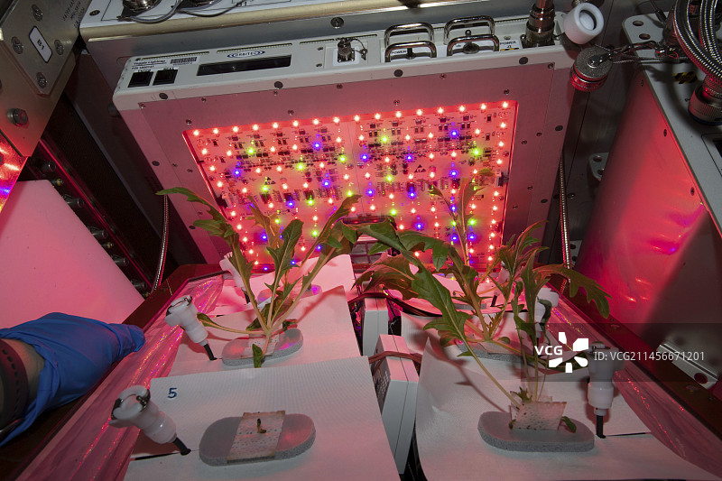 国际空间站上的植物实验图片素材