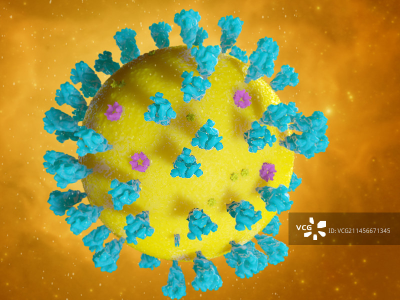 新冠病毒示意图图片素材