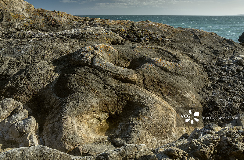 英国多塞特郡卢沃思海湾的化石森林图片素材