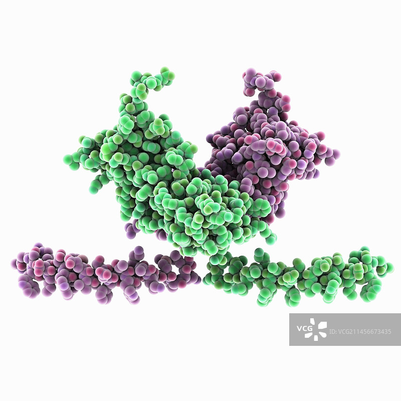丙型肝炎病毒NS5A结构域分子模型图片素材