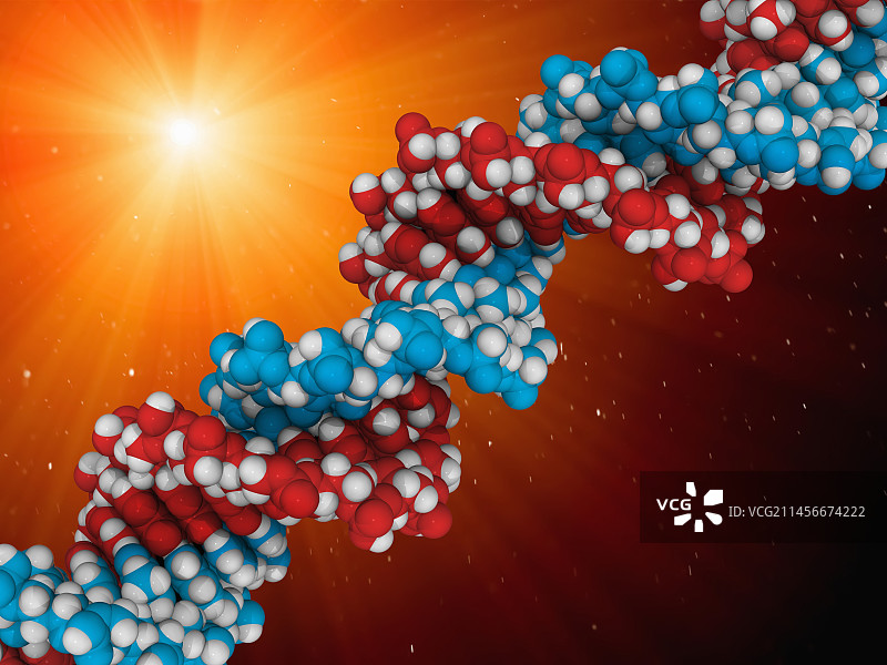 DNA（脱氧核糖核酸），分子模型图片素材