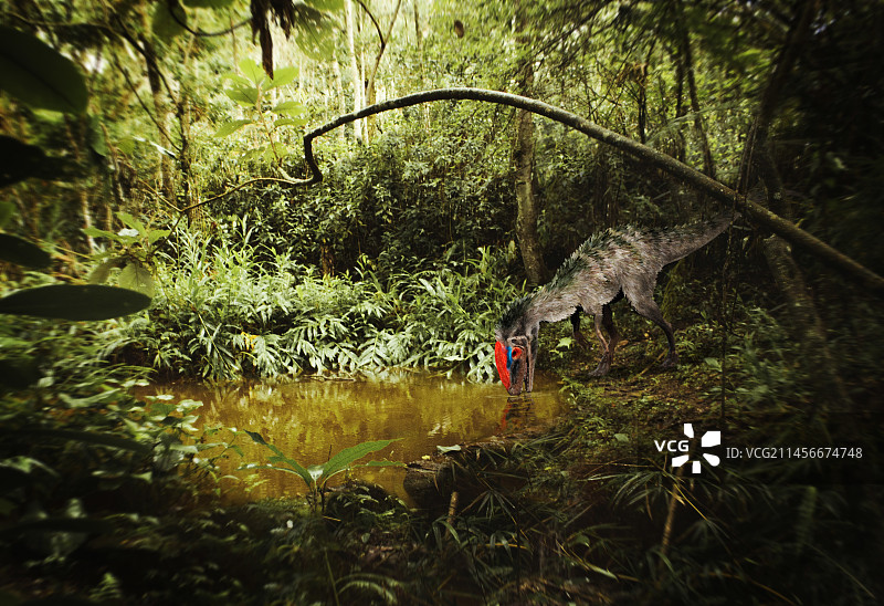 冠龙恐龙插画图片素材