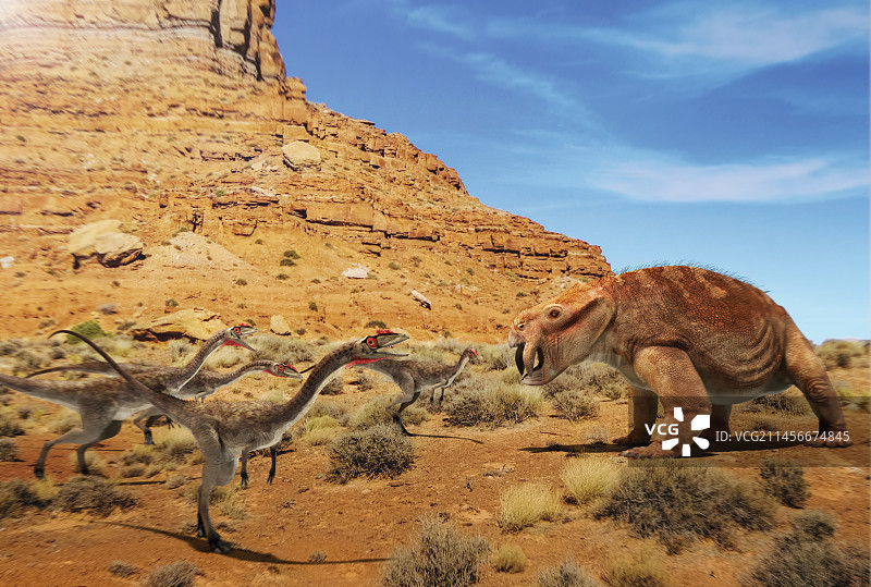 腔骨龙恐龙群插画图片素材