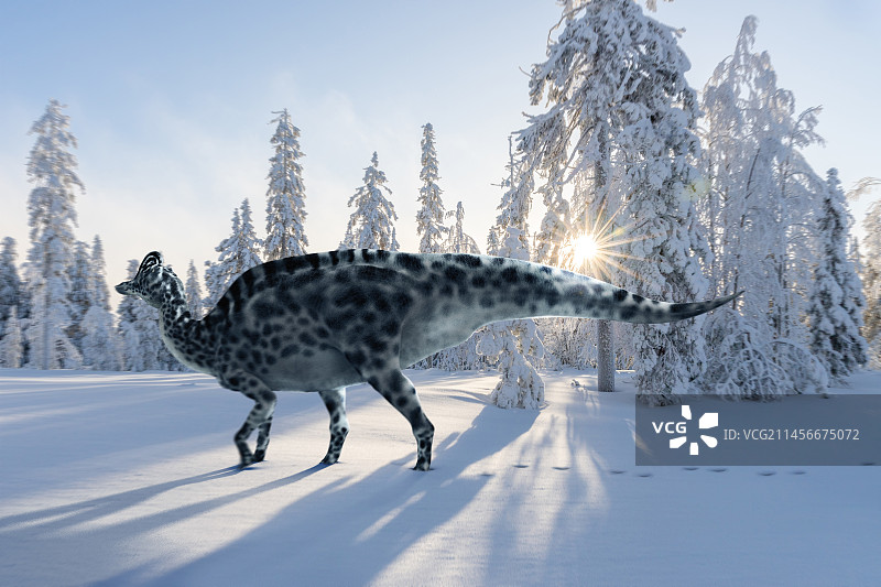 冠龙恐龙插画图片素材