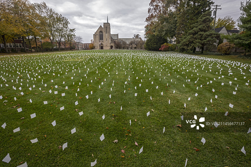 象征新冠逝者的墓地旗帜图片素材
