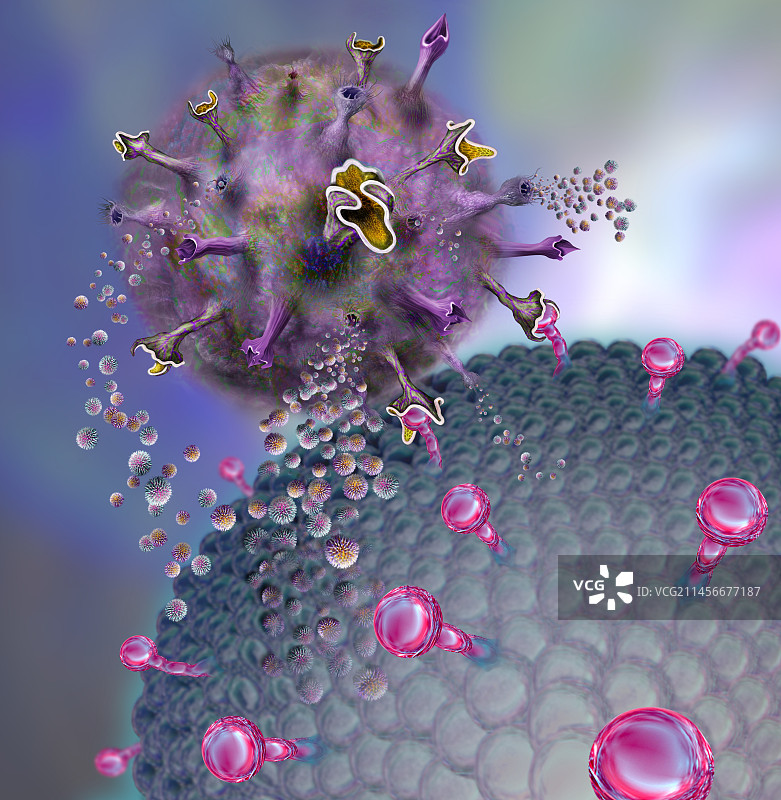 自然杀伤细胞攻击癌细胞，图示图片素材
