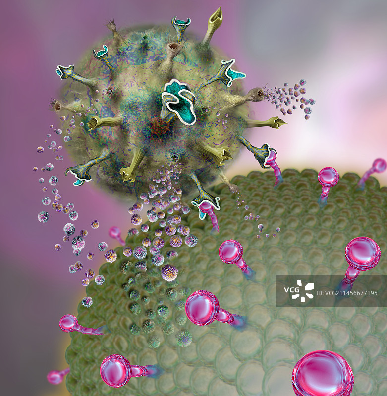 自然杀伤细胞攻击癌细胞，图示图片素材