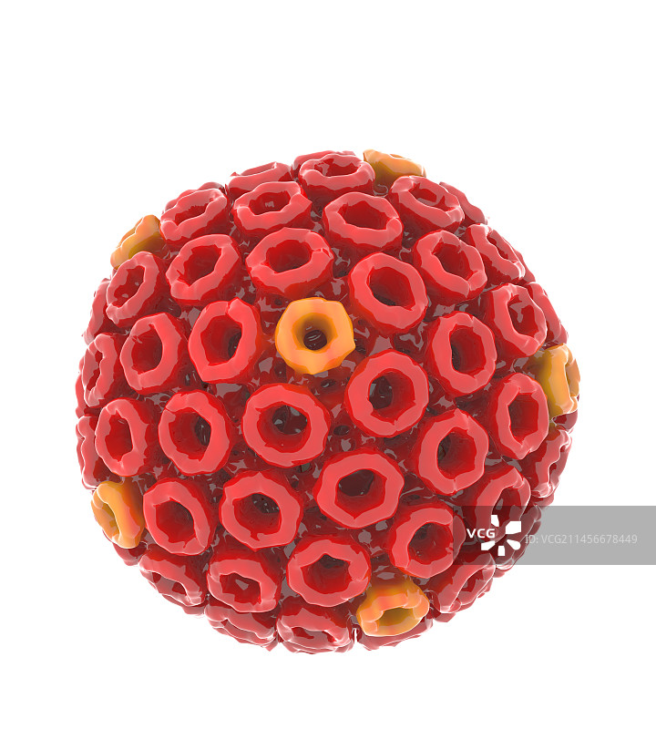 发热伴血小板减少综合征病毒颗粒图图片素材