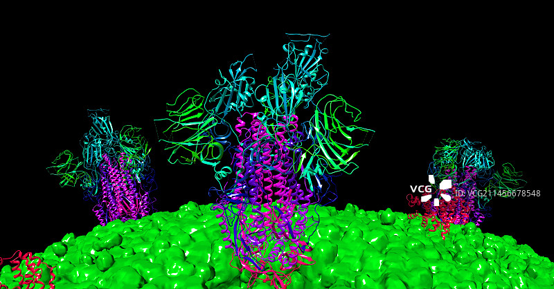 新冠病毒刺突蛋白计算机模型图片素材