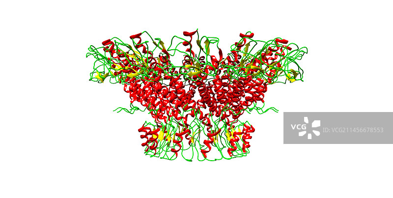 PHI29噬菌体噬菌体孔蛋白计算机模型图片素材