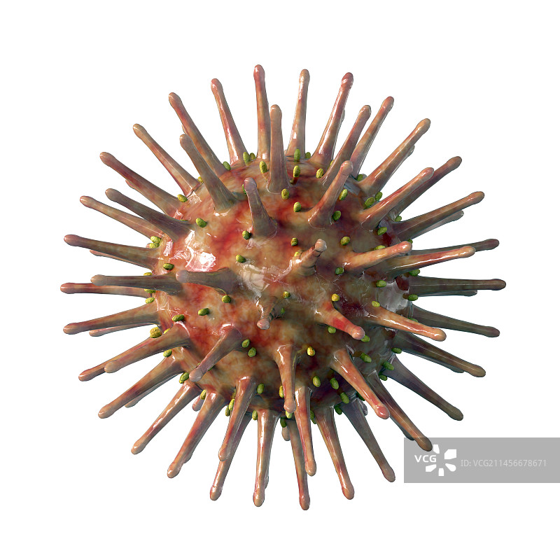 病毒插画图片素材