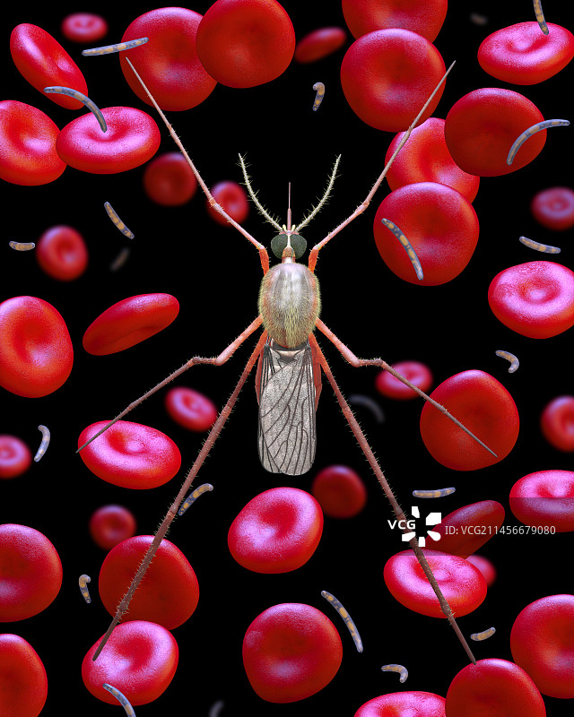 疟疾插图图片素材